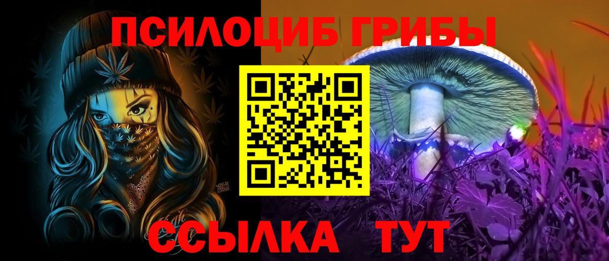 Галлюциногенные грибы Psilocybe Обь