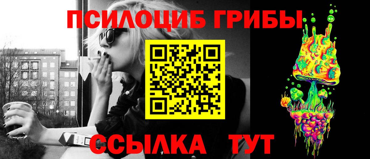 Псилоцибиновые грибы Cubensis  Вход с VPN  Обь 