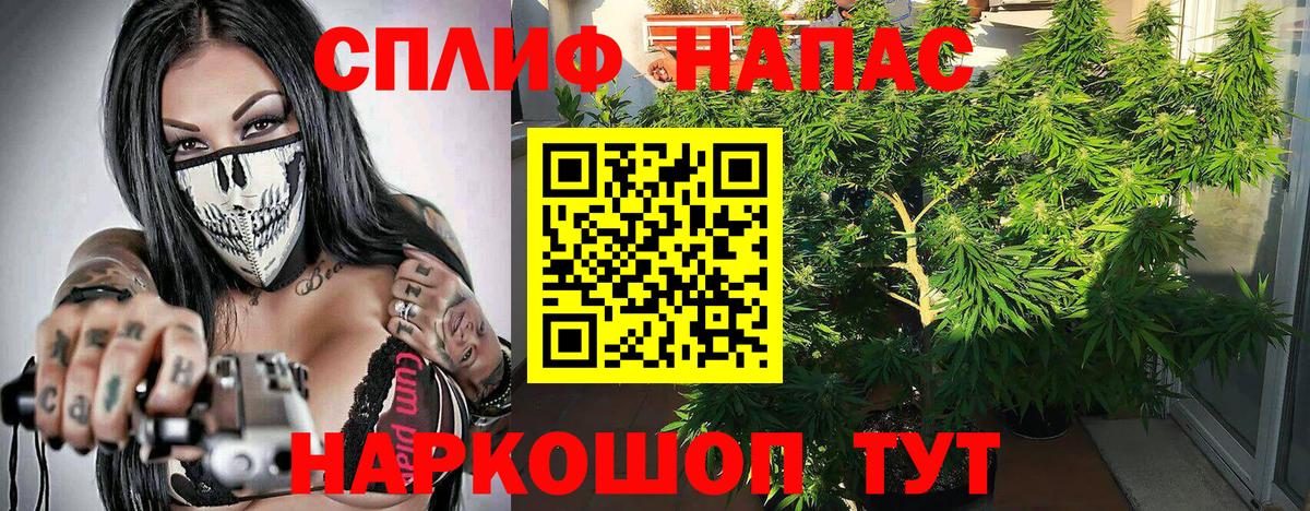 Конопля AK-47  Конопля индика  Обь  Бошки марихуана OG Kush  Бошки марихуана MAZAR  Вход с VPN 